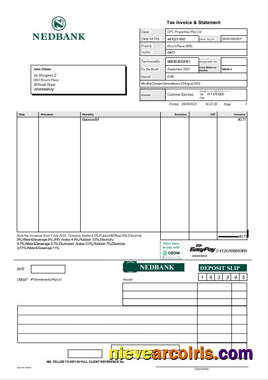 South Africa Nedbank statement Word and PDF